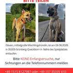 Suchmeldung-Eleven-Bild