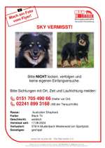 Suchmeldung-Skye-Bild