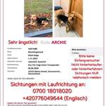 Suchmeldung-Archie-Bild