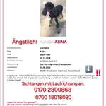 Suchmeldung-Alina-Bild