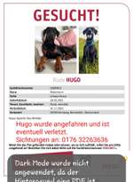 Suchmeldung-Hugo-Bild