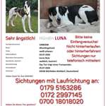 Suchmeldung-Luna-Bild