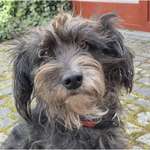 Suchmeldung-Nury-Bild