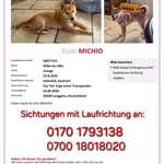 Suchmeldung-Michio-Bild