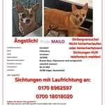 Suchmeldung-Mailo-Bild