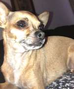 Suchmeldung-Aika-Bild