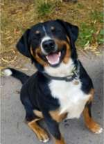 Suchmeldung-Manfred-Bild