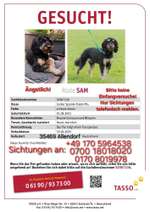 Suchmeldung-Sam (Samy)-Bild