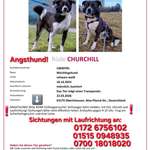 Suchmeldung-Churchill-Bild