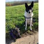 Ersteller:in Valentina Profilbild