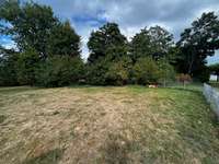 Hundeauslaufgebiet-Rheinpark Heerdt-Bild