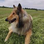 Ersteller:in Claudia Profilbild