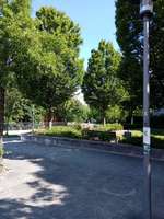 Hundeauslaufgebiet-Bavariapark-Bild