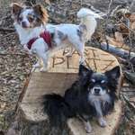 Ersteller:in Anna Profilbild