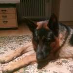 Ersteller:in Renata Profilbild