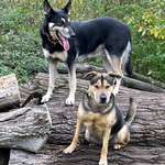 Ersteller:in Heike Profilbild