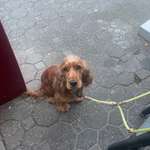 Suchmeldung-Alma-Bild