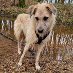 Ersteller:in Lisa Profilbild