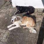 Ersteller:in Büchler Profilbild