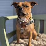 Ersteller:in Sy Profilbild