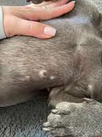 Dunkle Flecken auf der Haut-Beitrag-Bild