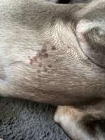 Dunkle Flecken auf der Haut-Beitrag-Bild