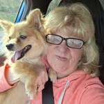 Ersteller:in Hermina Profilbild