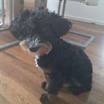 Ersteller:in Samuel und Monika Profilbild