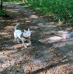 Ersteller:in Janina Profilbild