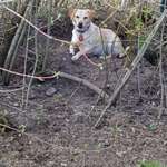 Ersteller:in Berti Profilbild