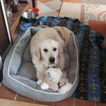 Ersteller:in Mario Profilbild