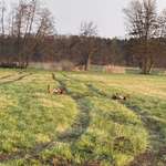 Ersteller:in Stephanie Profilbild