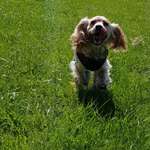 Ersteller:in Nihal Profilbild