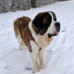 Ersteller:in Arzu Profilbild