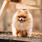 Ersteller:in Mark Profilbild