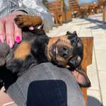 Ersteller:in Andrea Profilbild