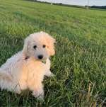 Ersteller:in Viktor Profilbild