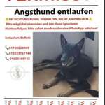 Suchmeldung-Loki-Bild