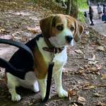 Ersteller:in Claudia Profilbild