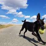 Ersteller:in Maik Profilbild