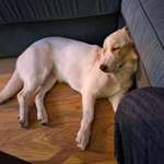 Ersteller:in Ralf Profilbild