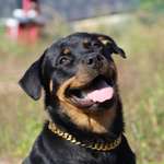 Ersteller:in Philipp Profilbild