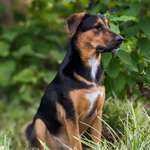 Ersteller:in Rosi Profilbild