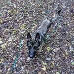 Ersteller:in Tanja Profilbild