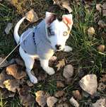 Ersteller:in Giada Profilbild