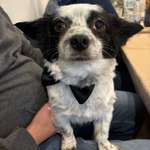 Ersteller:in Larissa Profilbild