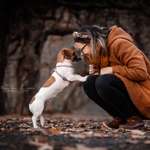 Ersteller:in Anna Profilbild