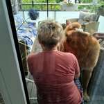 Ersteller:in Evelin Profilbild