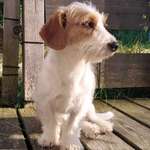 Ersteller:in Katrin Profilbild