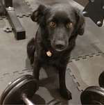 Ersteller:in Anja Profilbild